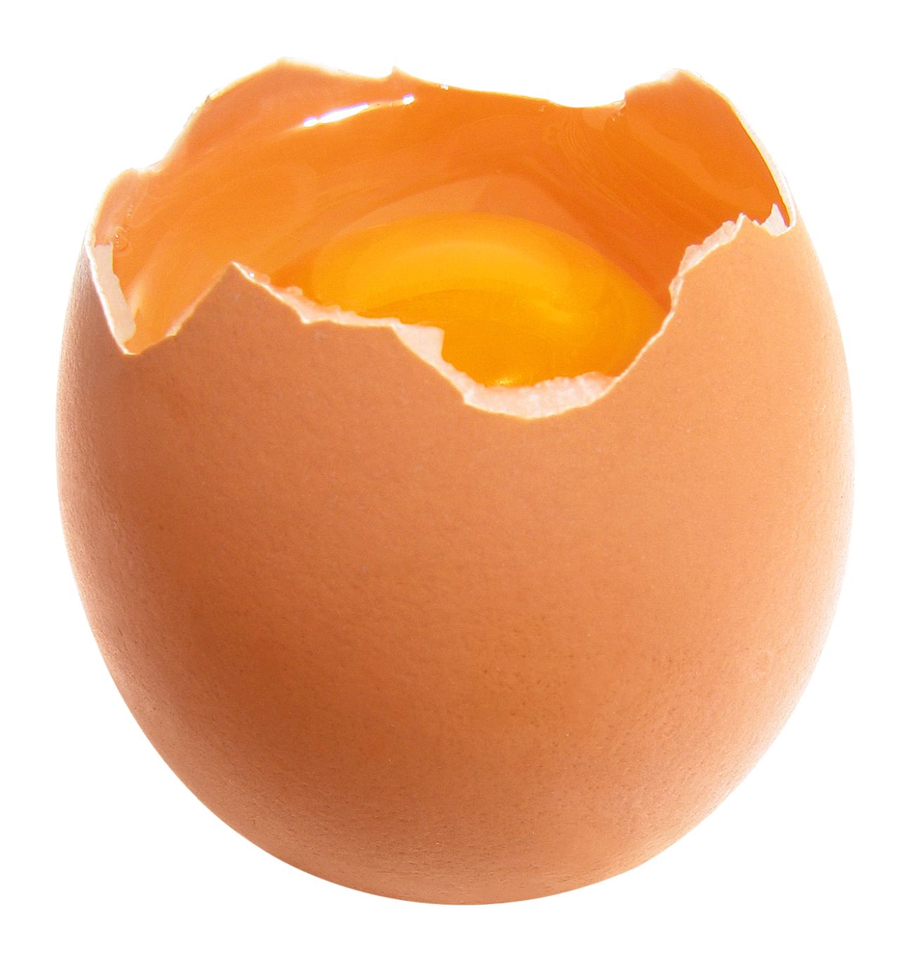 egg PNG    图片编号:40796