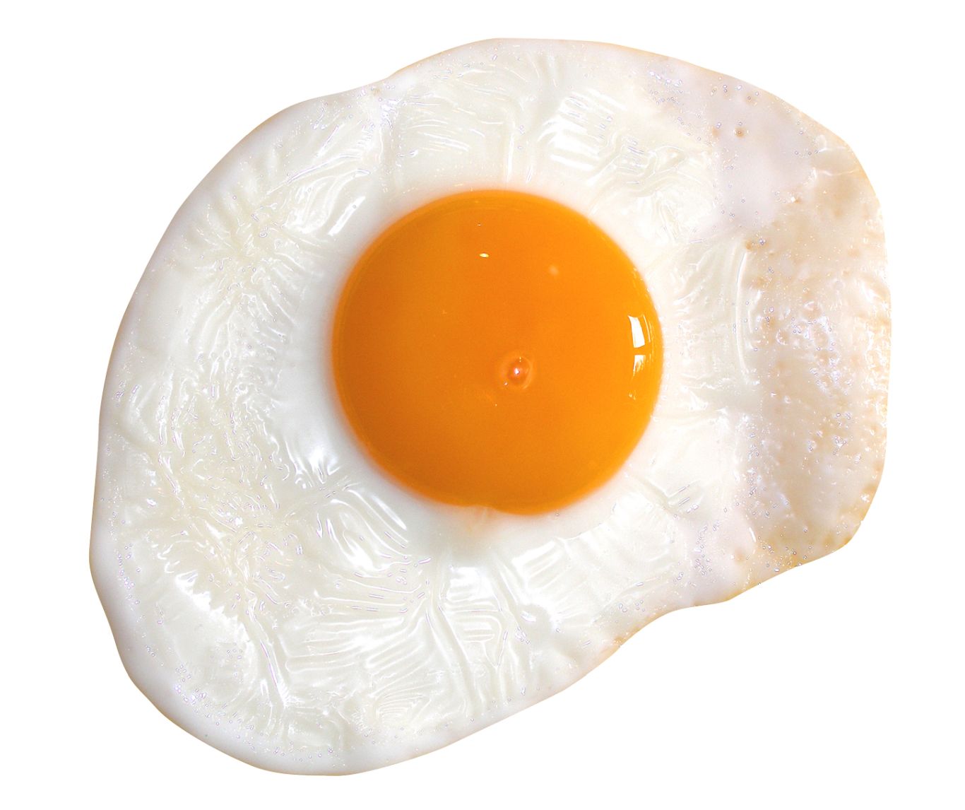 egg PNG    图片编号:40799
