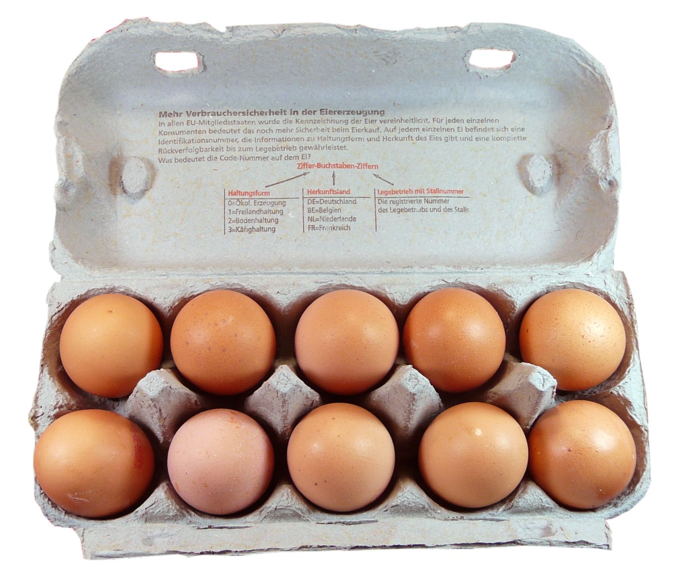 eggs PNG    图片编号:40806