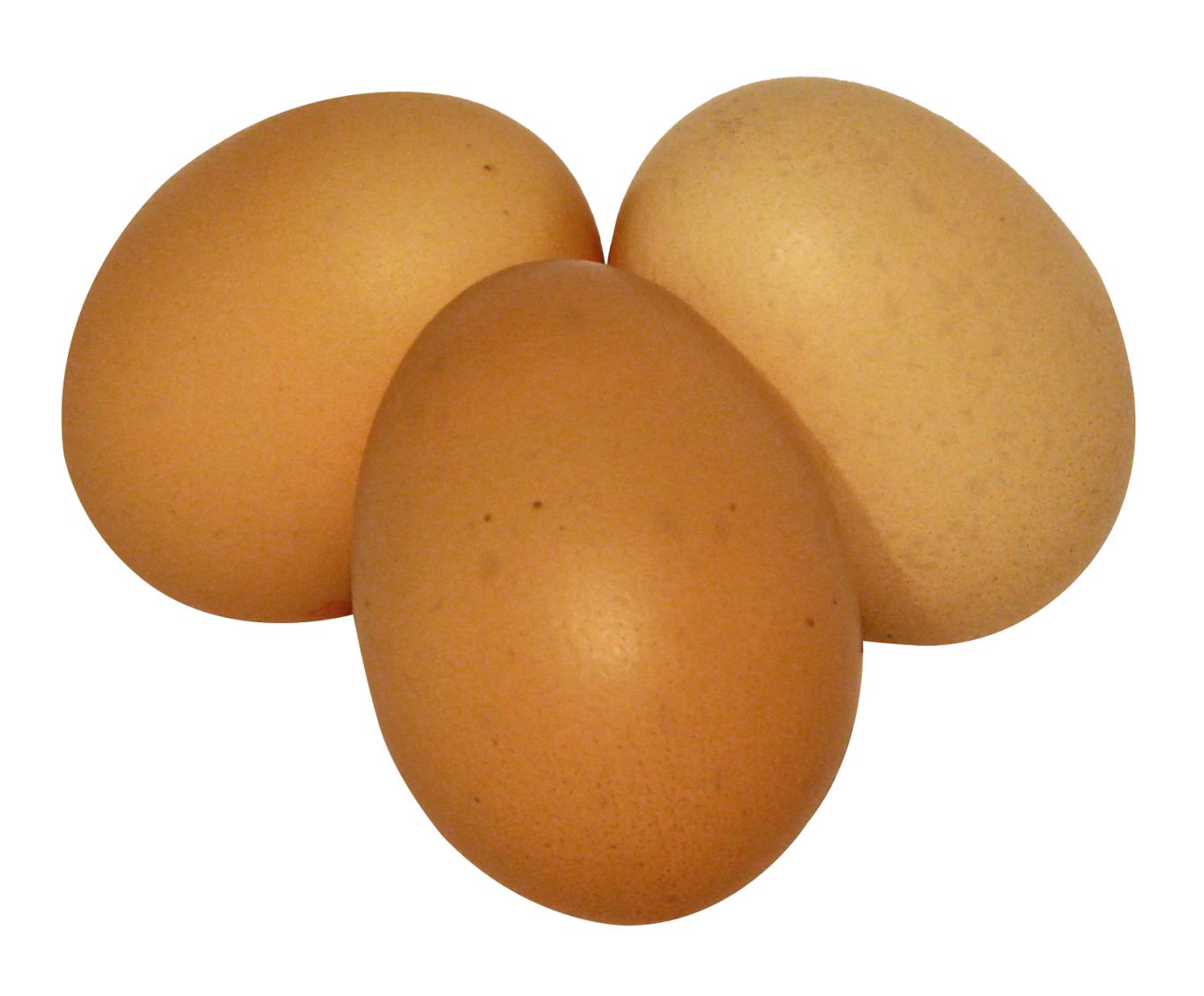 eggs PNG    图片编号:40810