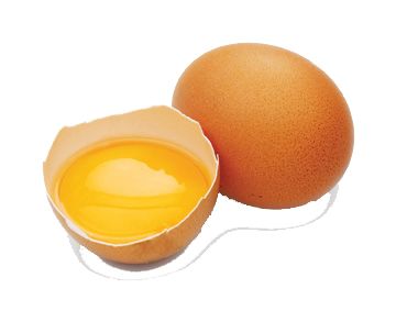 Cracked egg PNG image    图片编号:4509