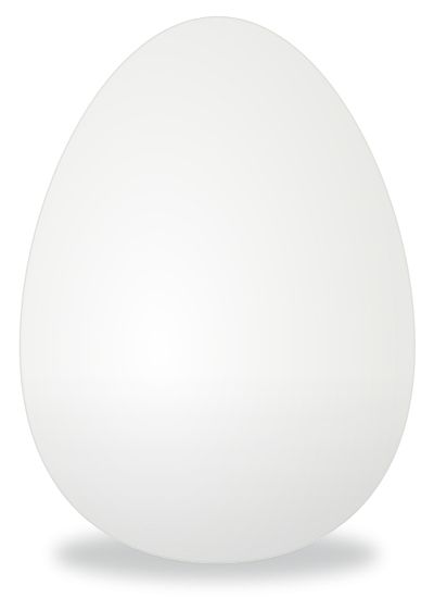 White egg PNG image    图片编号:4504