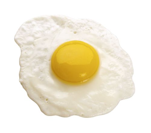 Fried egg PNG image    图片编号:4507