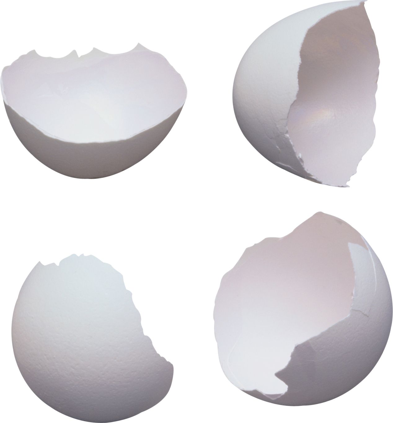 Cracked egg PNG image    图片编号:4464