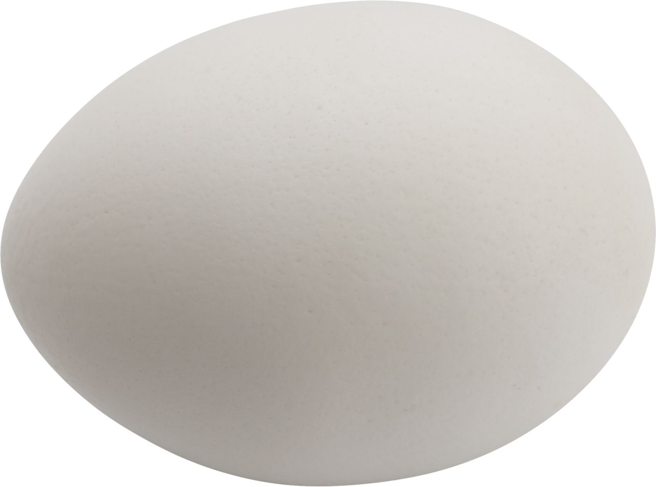 Eggs PNG    图片编号:97935