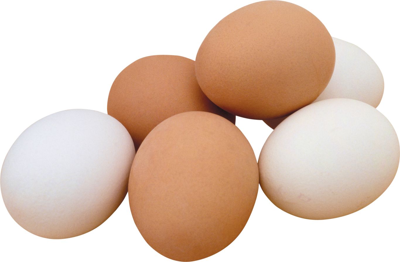 Eggs PNG    图片编号:97950