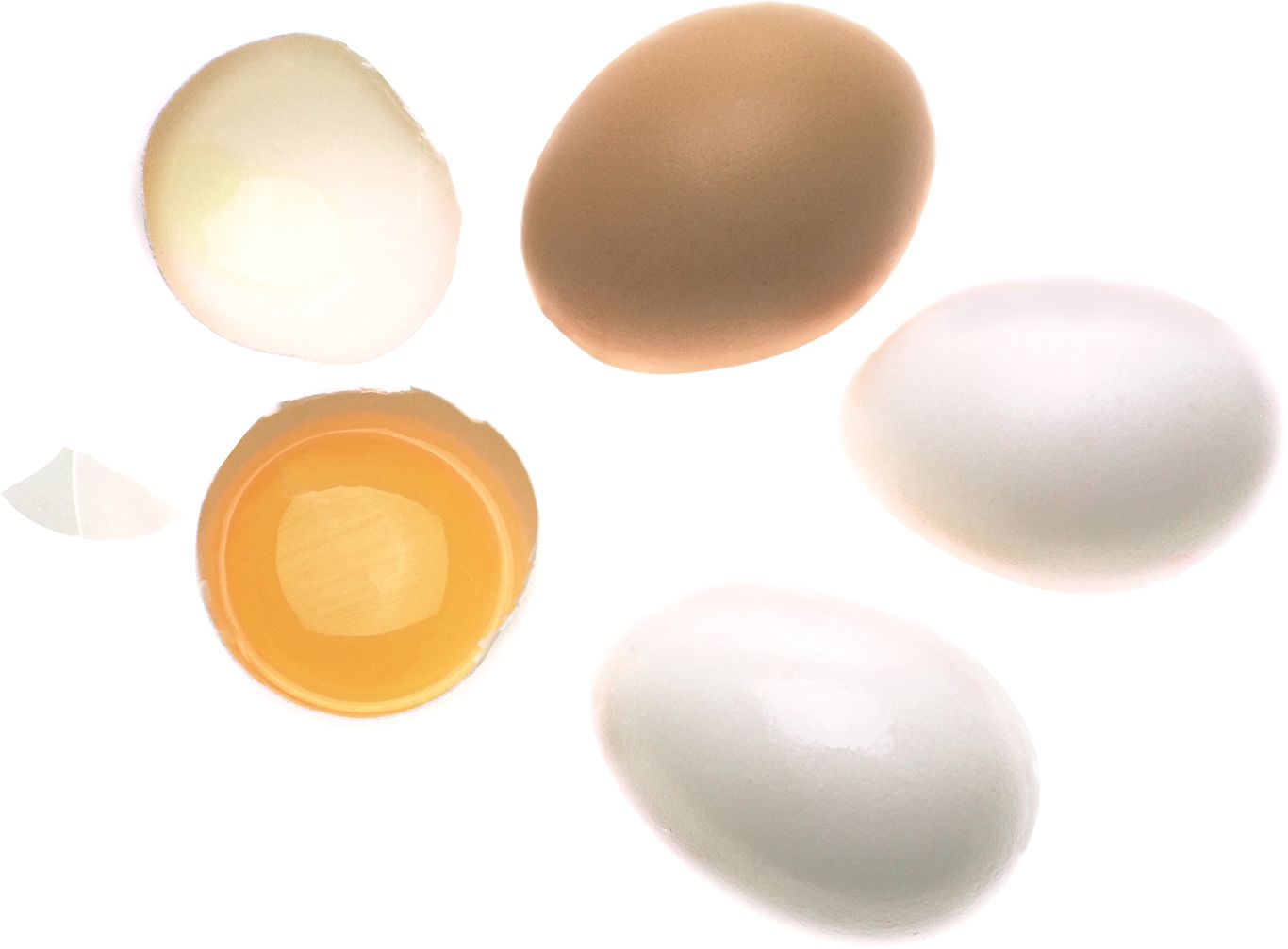 Eggs PNG    图片编号:97957