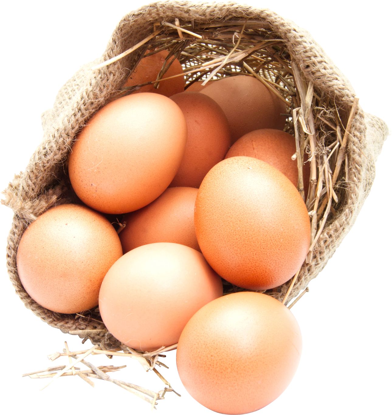Eggs PNG    图片编号:97963