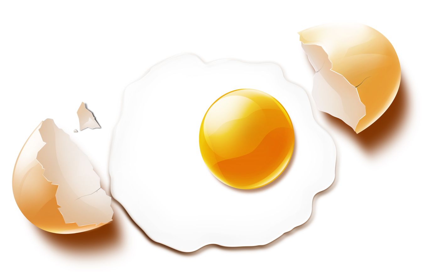 Fried egg PNG    图片编号:61060