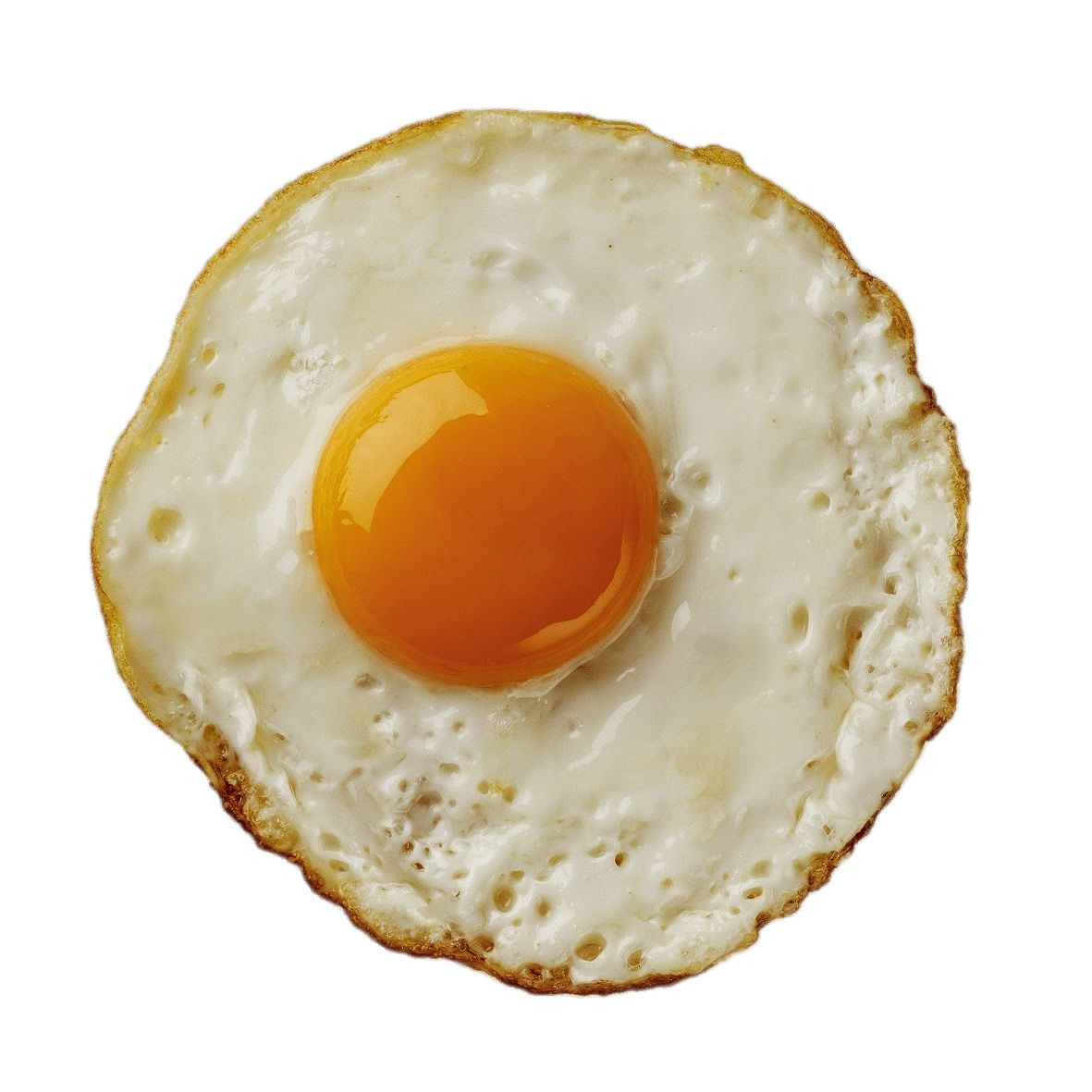 Fried egg PNG    图片编号:61069