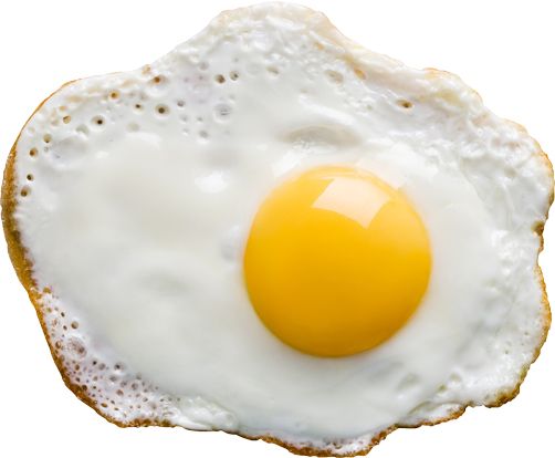 Fried egg PNG    图片编号:61090