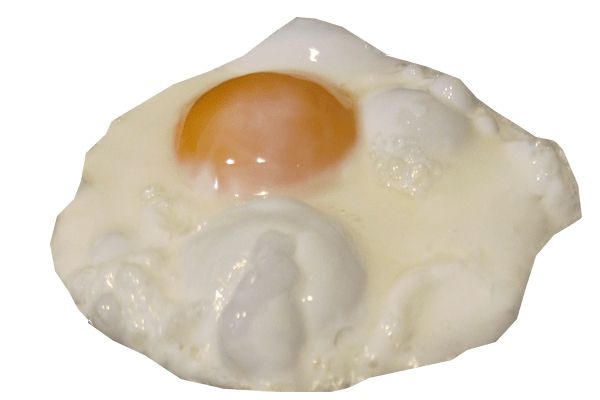 Fried egg PNG    图片编号:61102