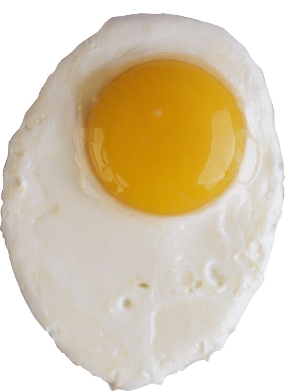 Fried egg PNG    图片编号:61109