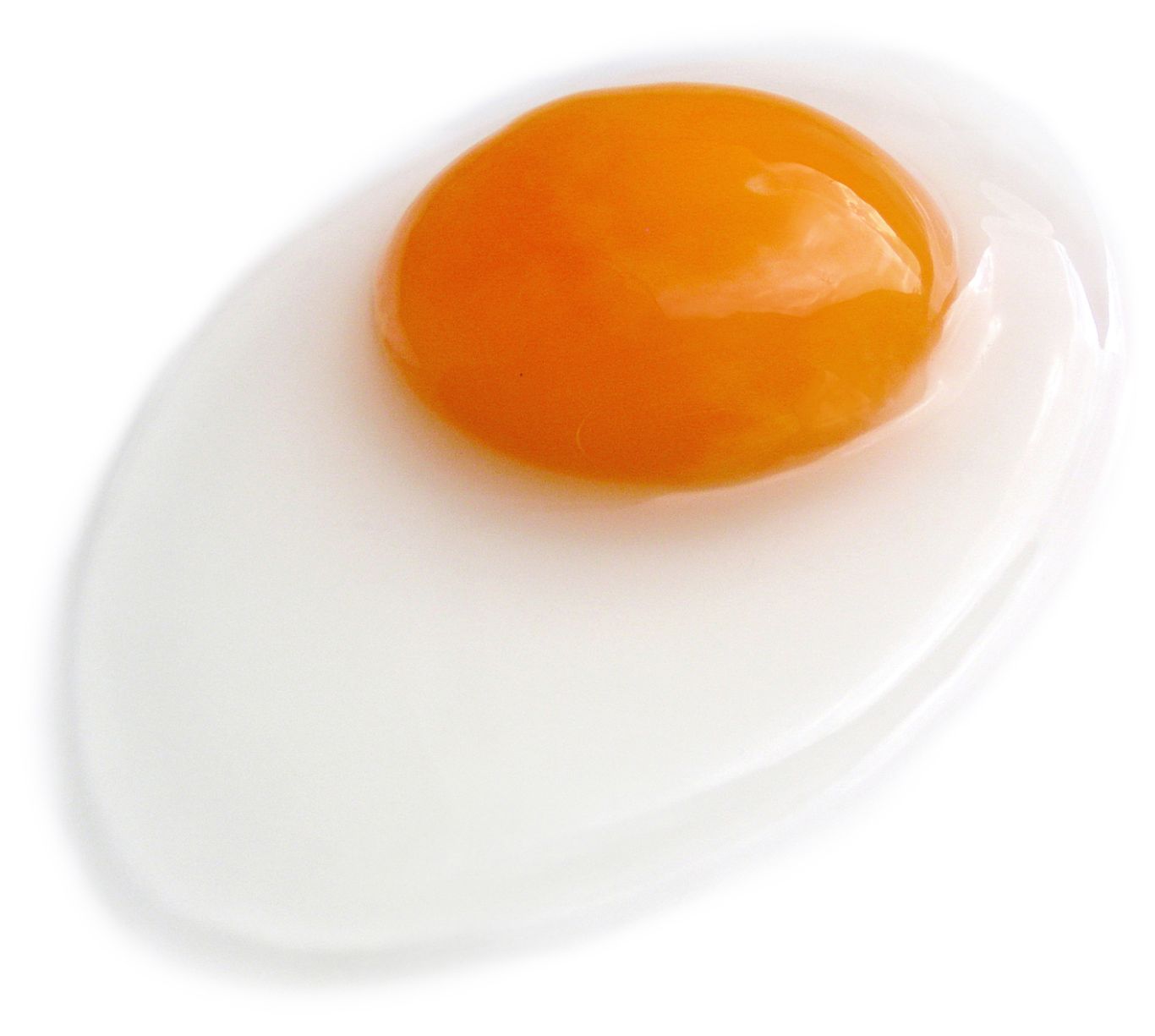 Fried egg PNG    图片编号:61113