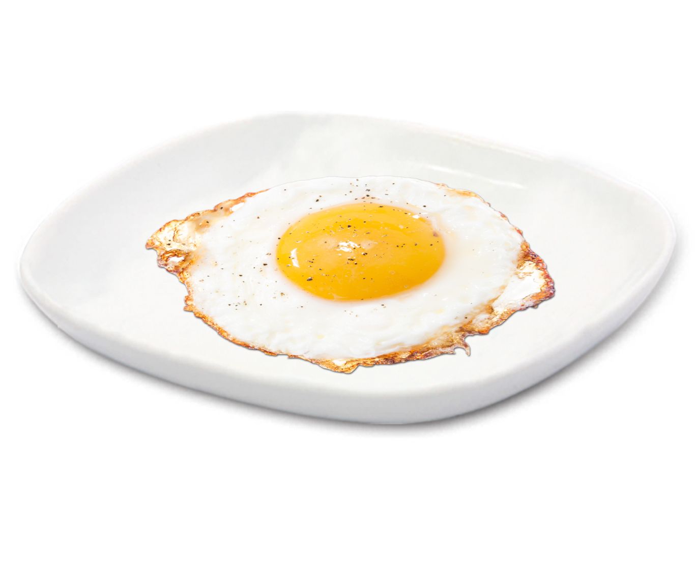 Fried egg PNG    图片编号:61118