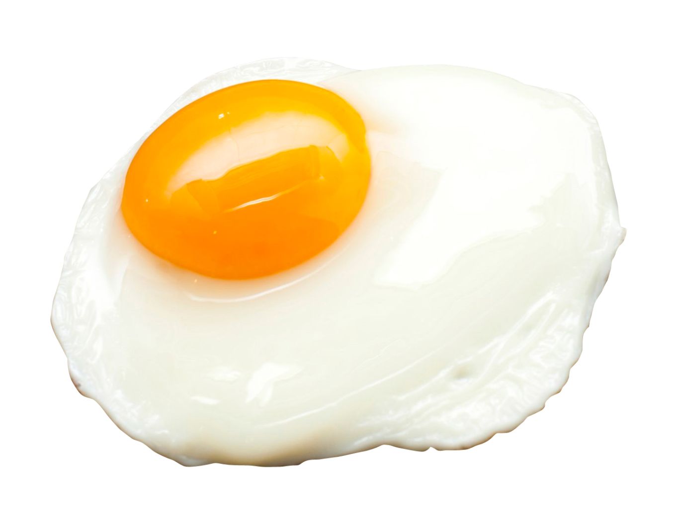 Fried egg PNG    图片编号:61119