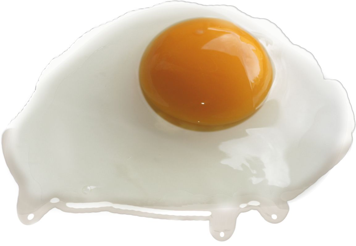 Fried egg PNG    图片编号:61124