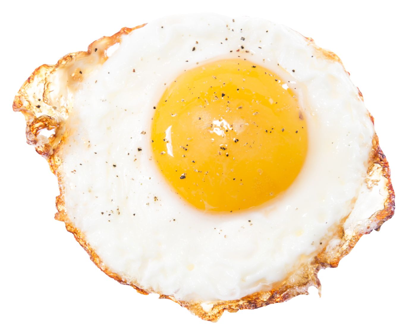 Fried egg PNG    图片编号:61127