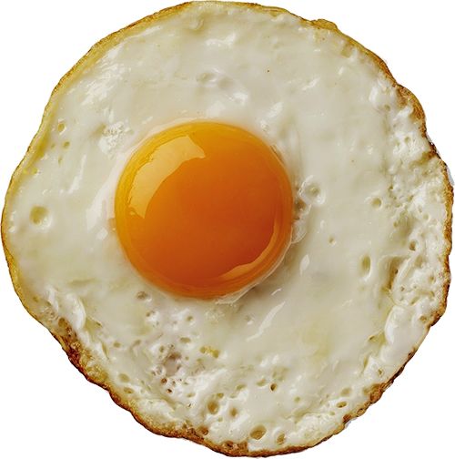 Fried egg PNG    图片编号:61133
