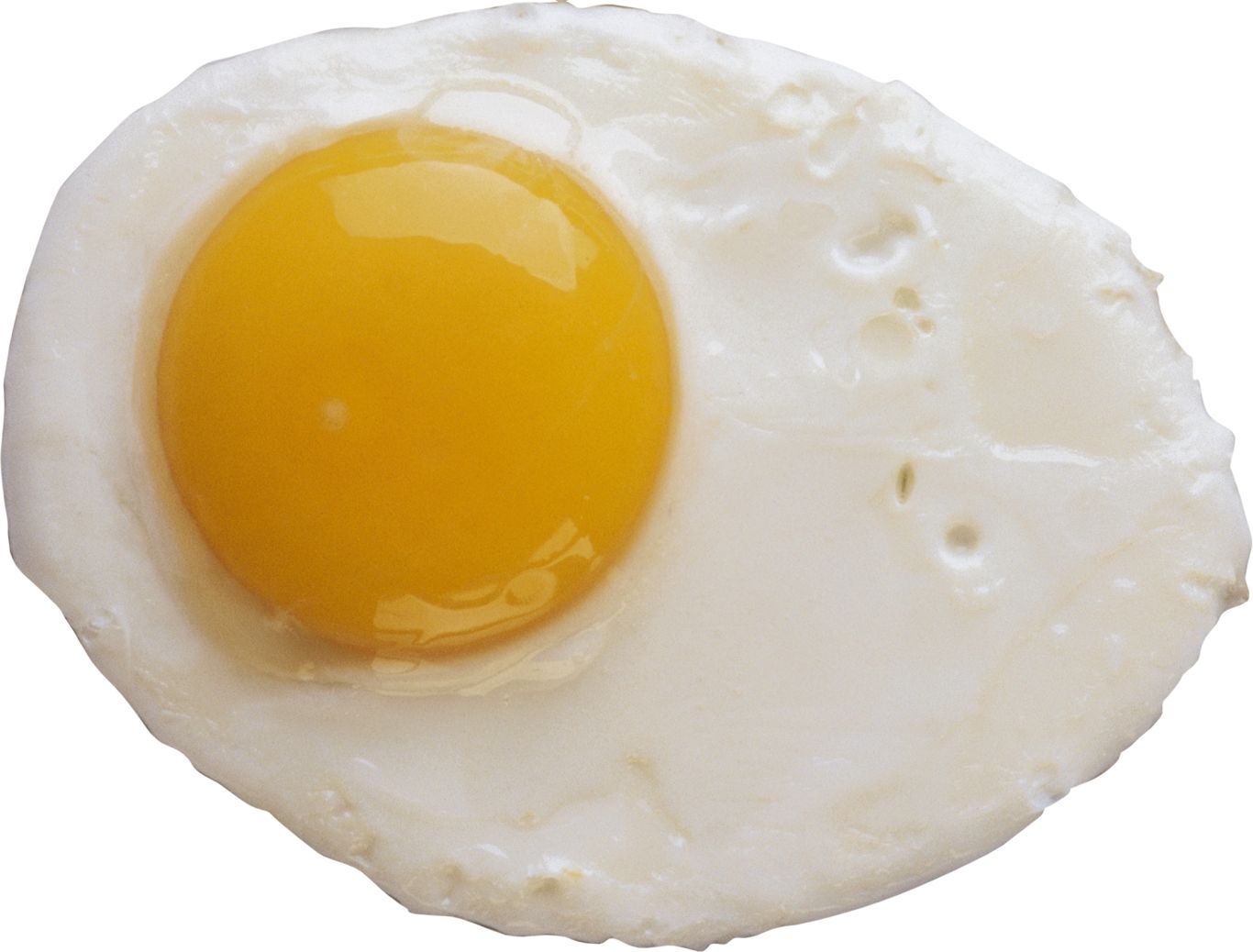 Fried egg PNG    图片编号:97900