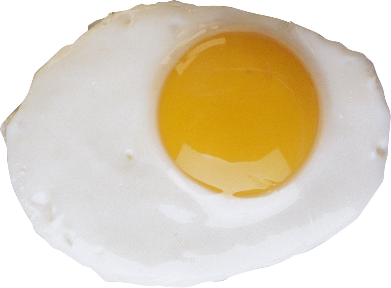 Fried egg PNG    图片编号:97901