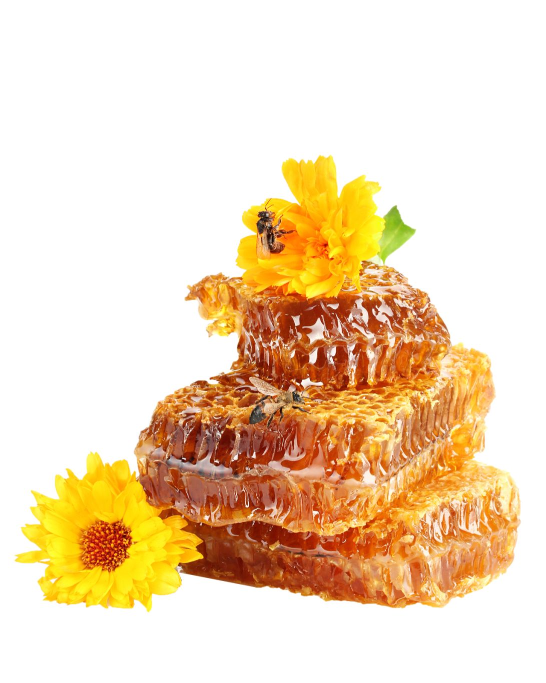 Honey PNG    图片编号:86294