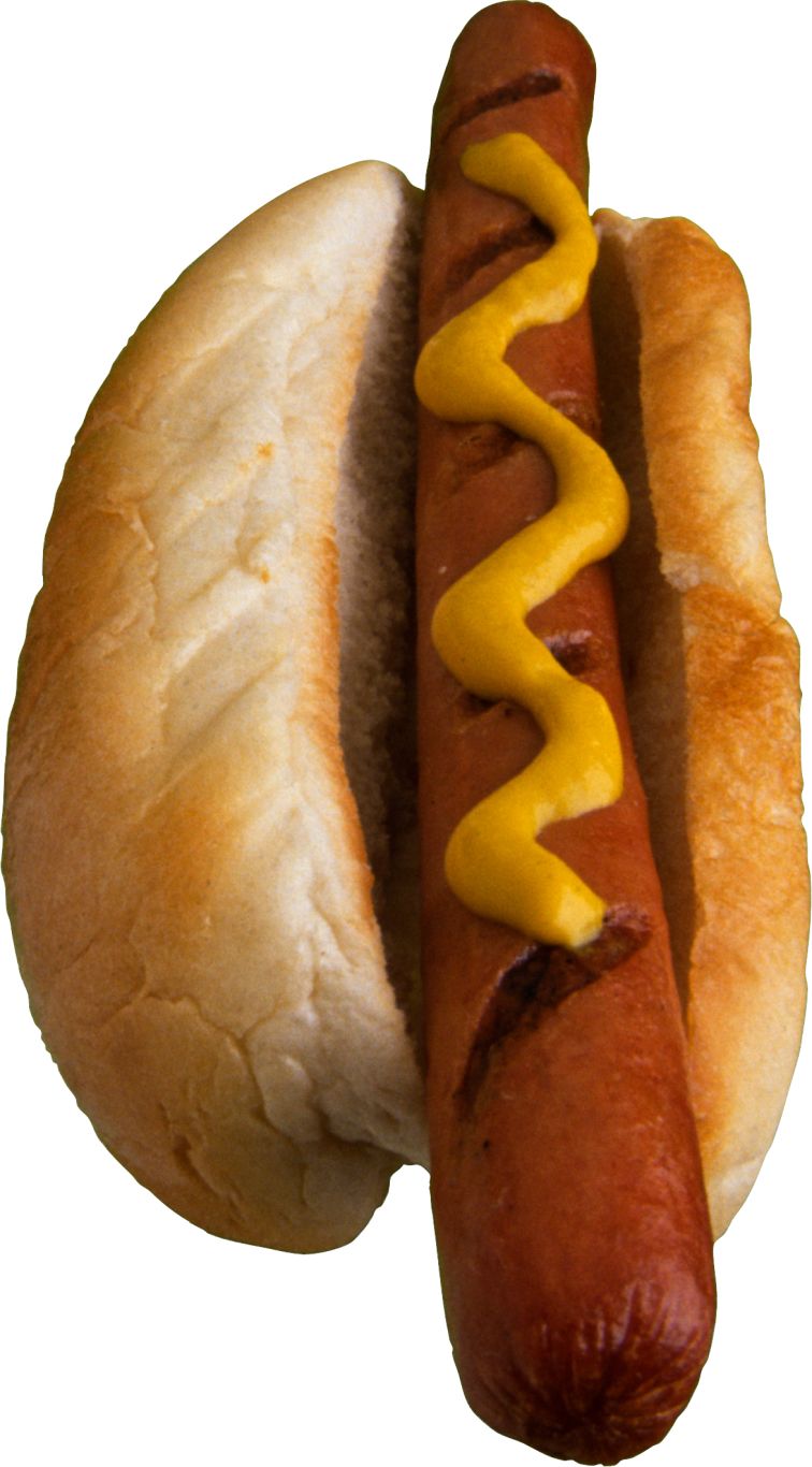 Hot dog PNG    图片编号:98133