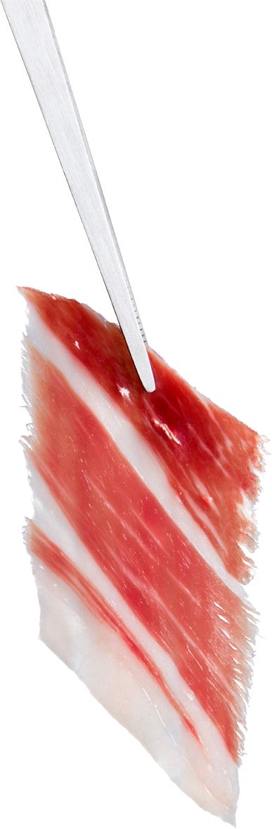 Jamon PNG    图片编号:33293