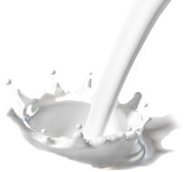 Milk splashes PNG    图片编号:12710