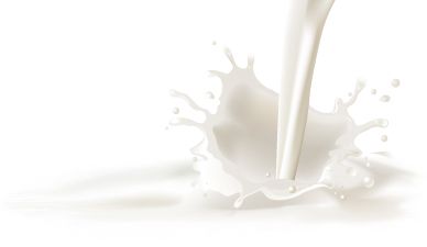 Milk splashes PNG    图片编号:12745