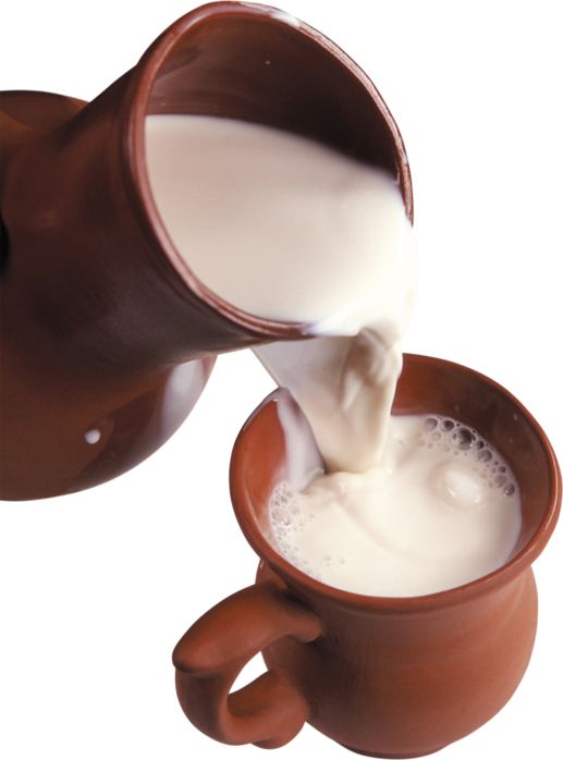 milk PNG    图片编号:12751