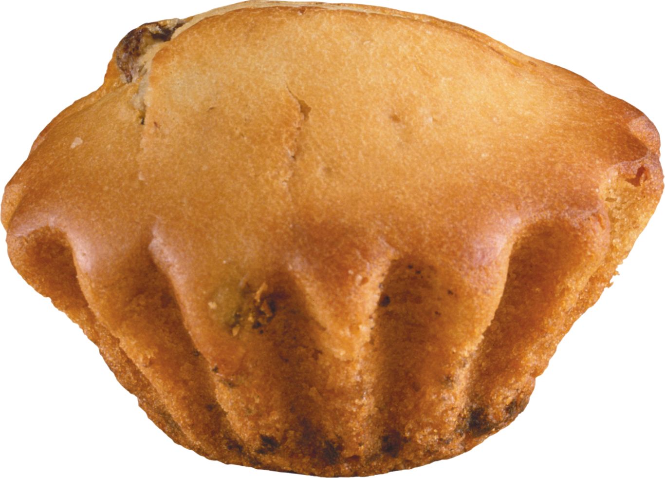 Muffin PNG    图片编号:74338