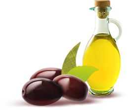 Olive oil PNG    图片编号:21332