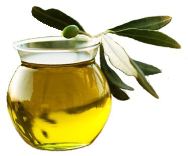 Olive oil PNG    图片编号:21344