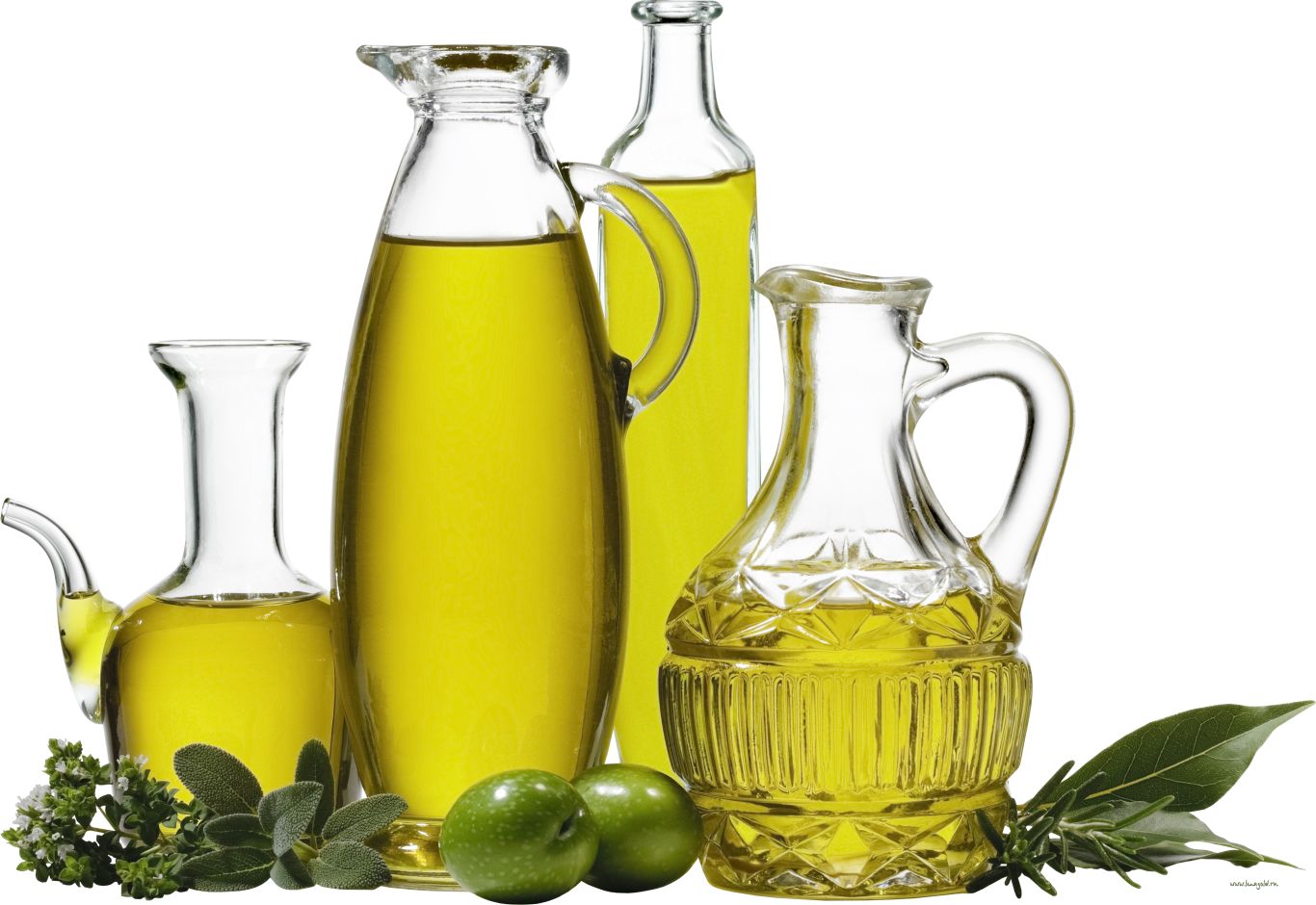 Olive oil PNG    图片编号:98563