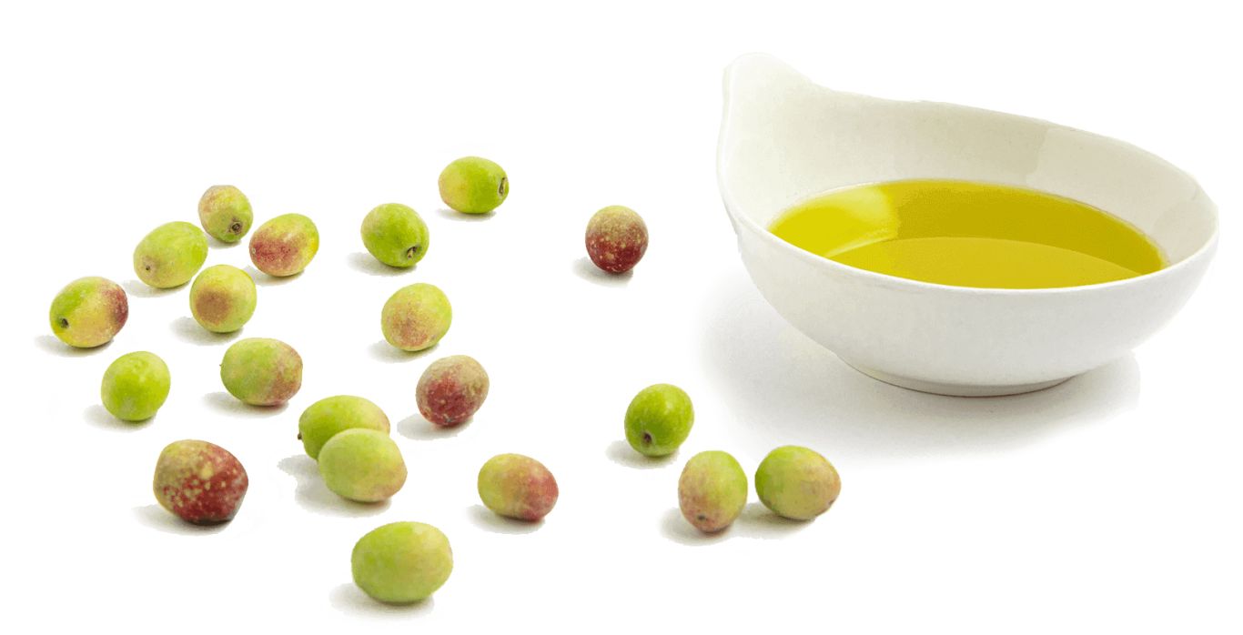Olive oil PNG    图片编号:98567