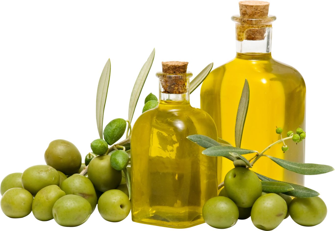 Olive oil PNG    图片编号:98568