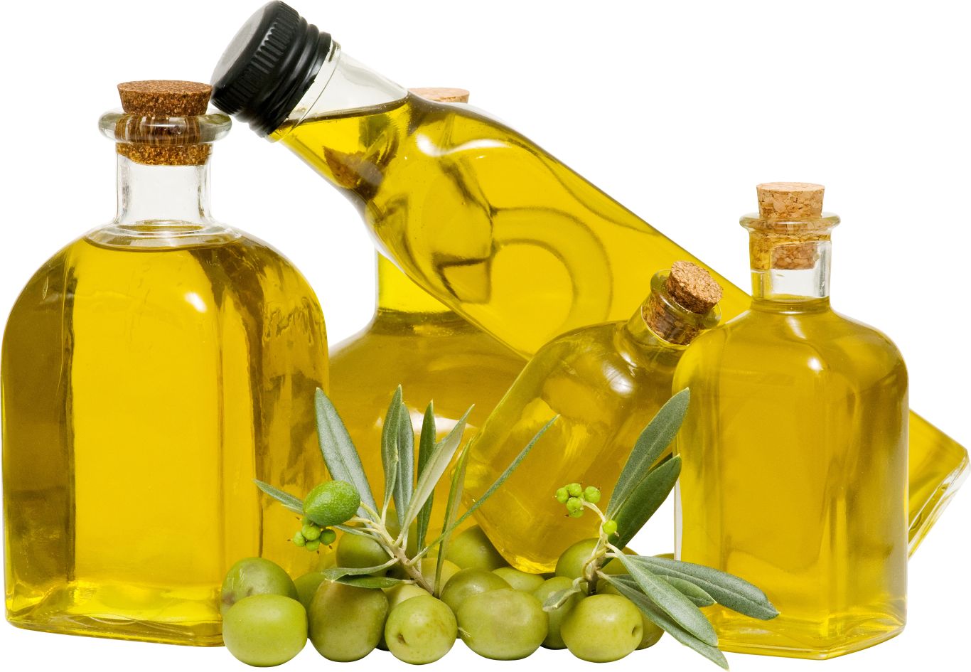 Olive oil PNG    图片编号:98572