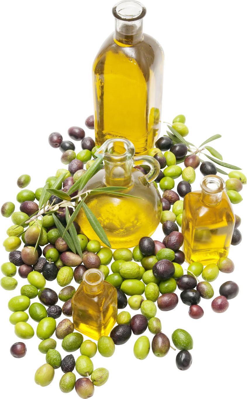 Olive oil PNG    图片编号:98573