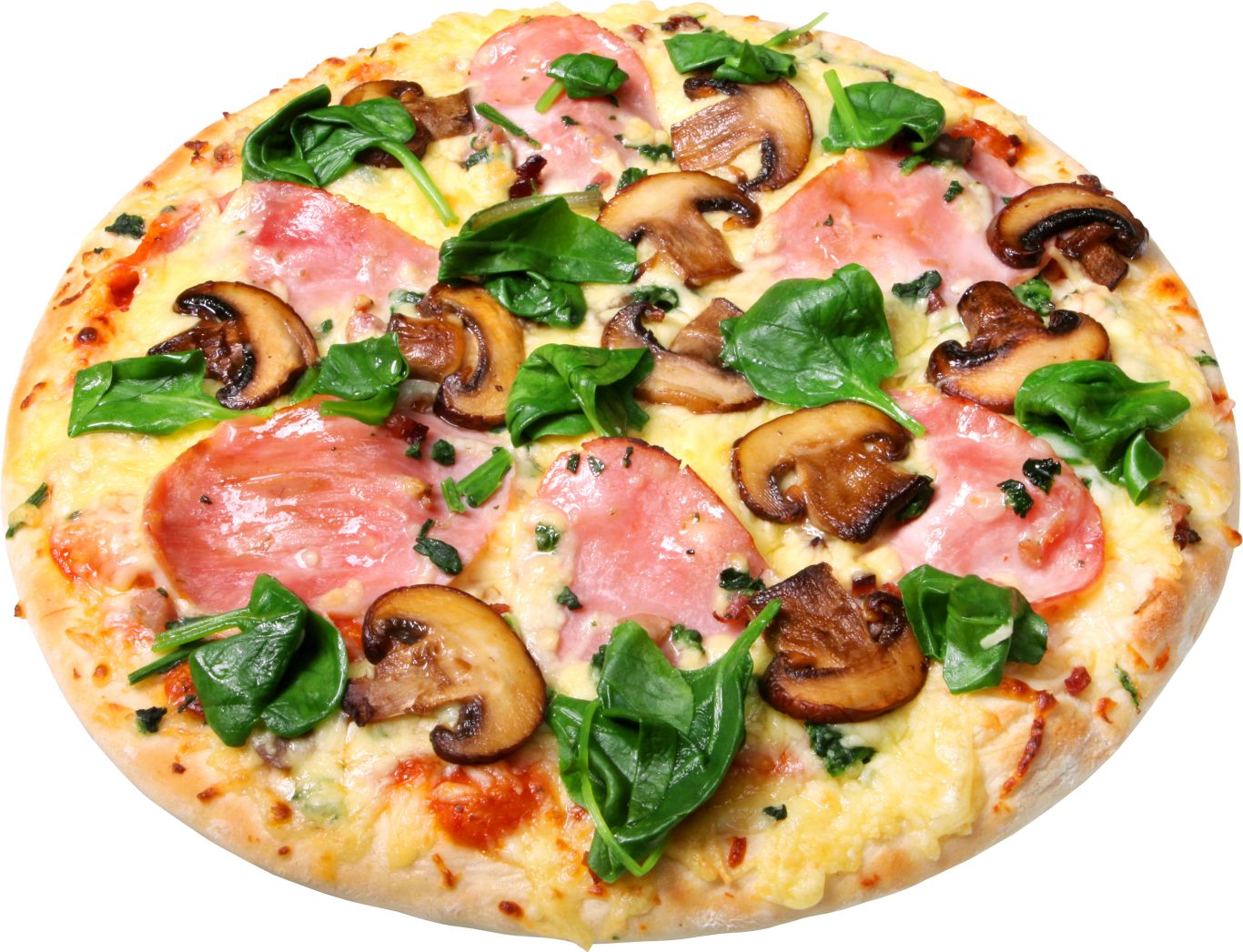 Pizza PNG    图片编号:44028