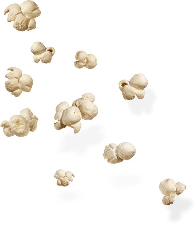 Popcorn PNG    图片编号:43480