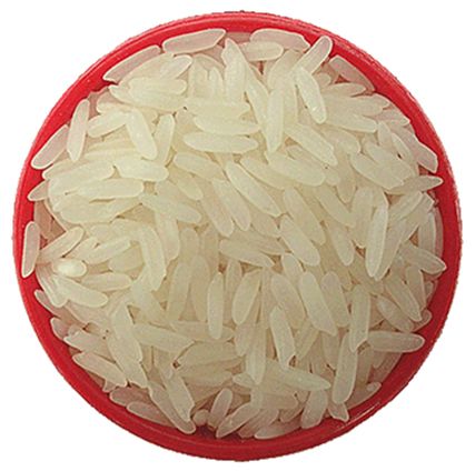 rice PNG    图片编号:22392