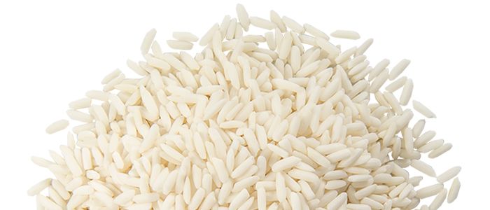 rice PNG    图片编号:22401