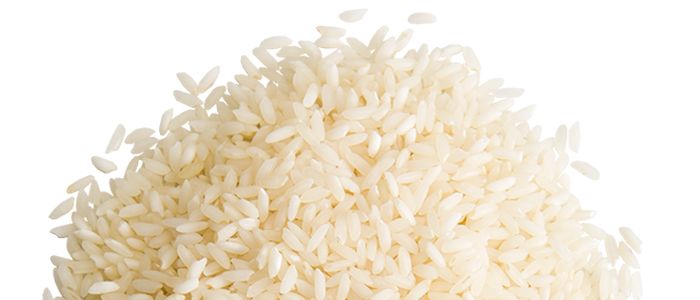 rice PNG    图片编号:22404