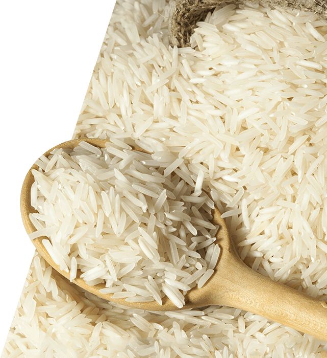 rice PNG    图片编号:22411