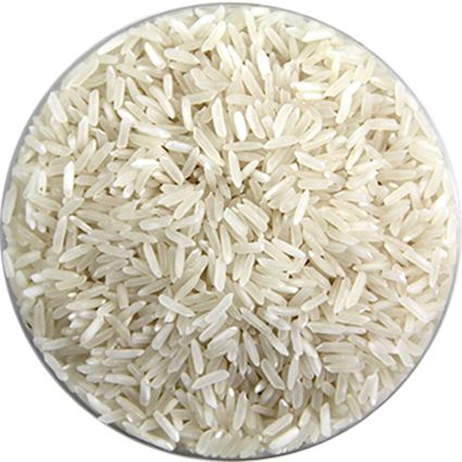 rice PNG    图片编号:22419