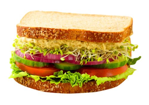 sandwich PNG image    图片编号:96798