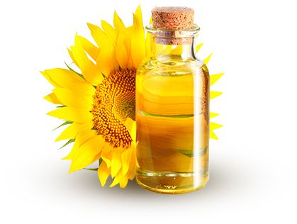 Sunflower oil PNG    图片编号:21166