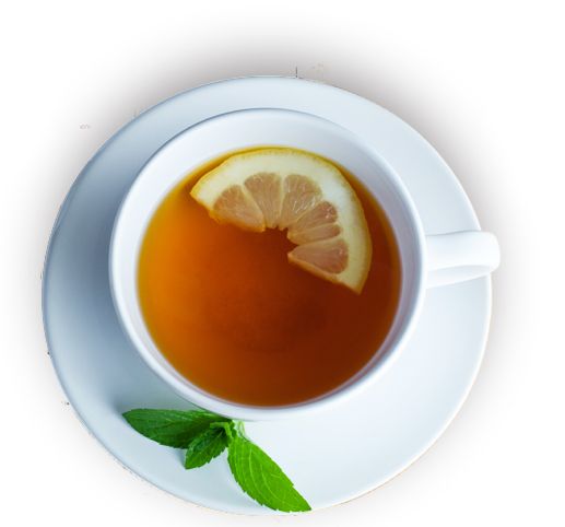 Tea with lemon PNG    图片编号:16926