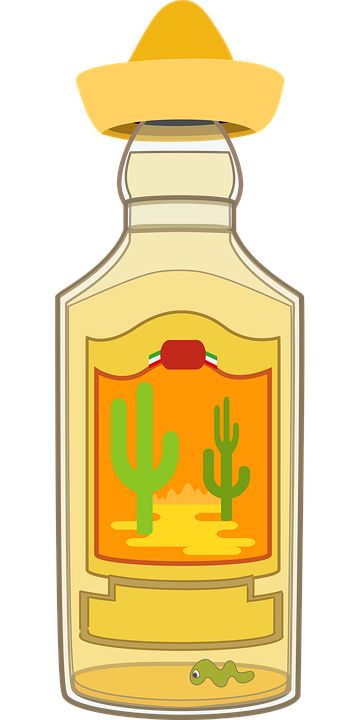 Tequila PNG    图片编号:74176